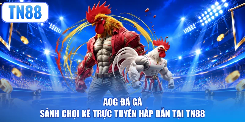 AOG Đá Gà - Sảnh Chọi Kê Trực Tuyến Hấp Dẫn Tại TN88