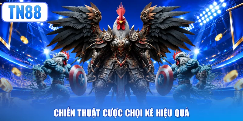 Chiến thuật cược chọi kê hiệu quả