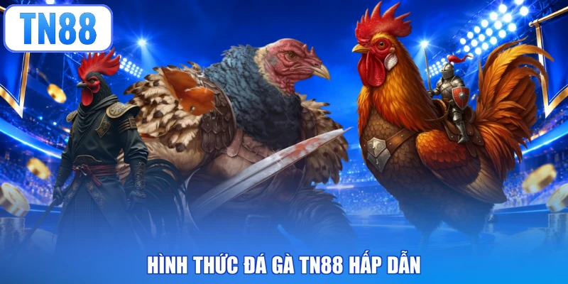 Hình thức đá gà TN88 hấp dẫn