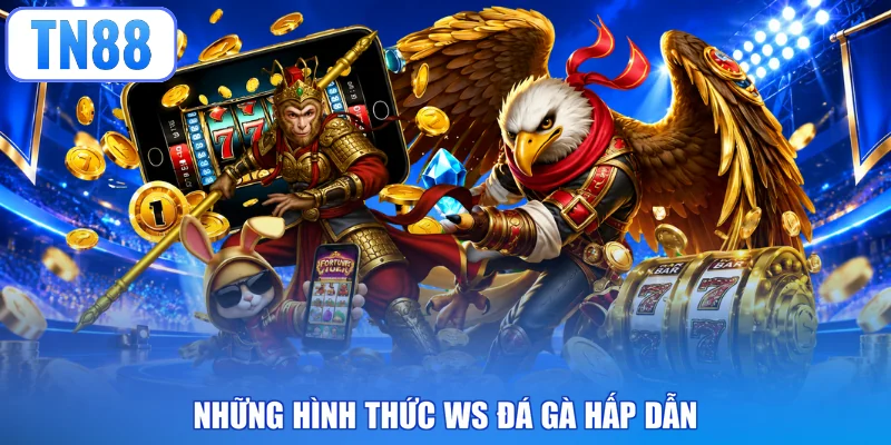 Những hình thức WS đá gà hấp dẫn